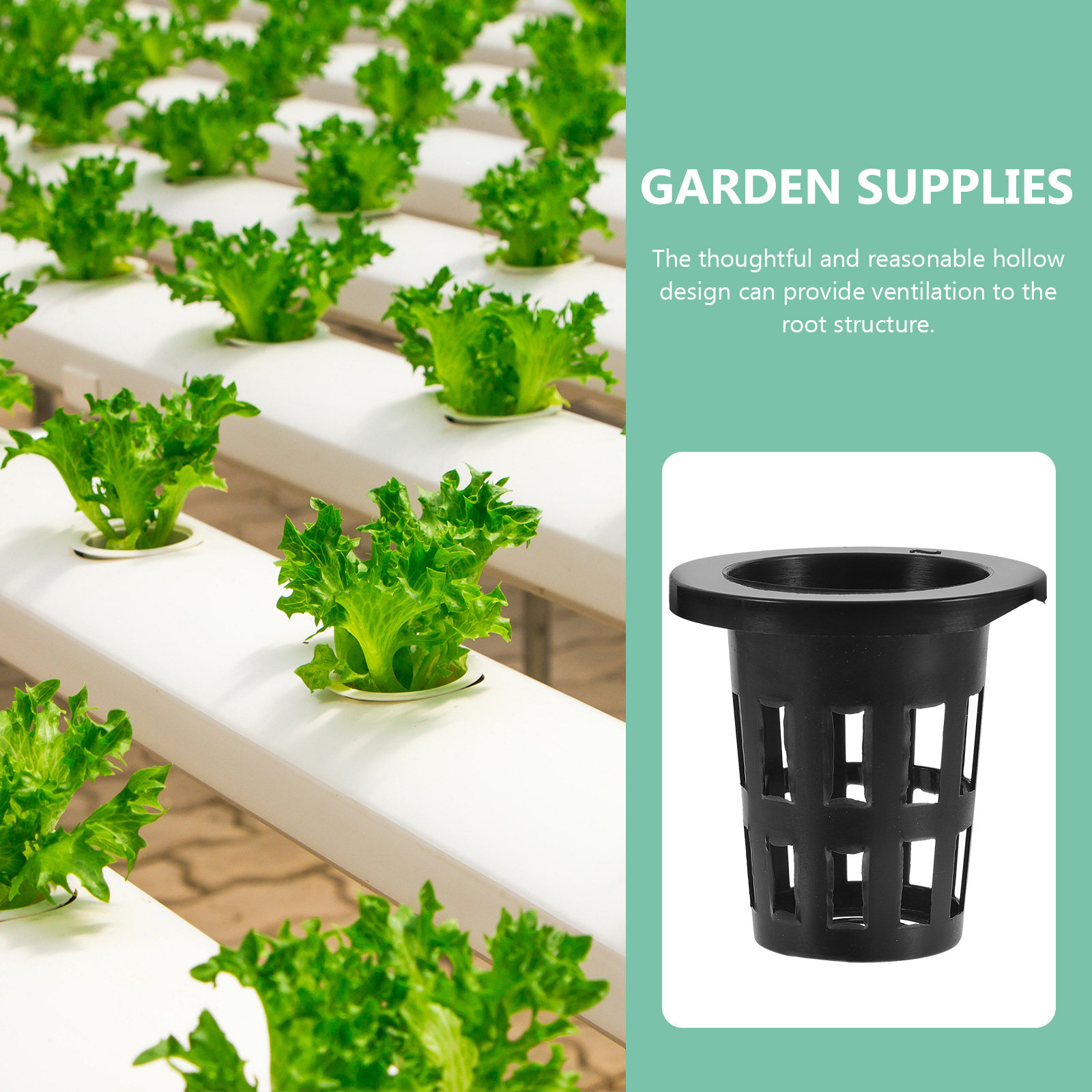 50Pcs Plastic Planting Baskets - Gardening Tools Vegetables 评论和价格