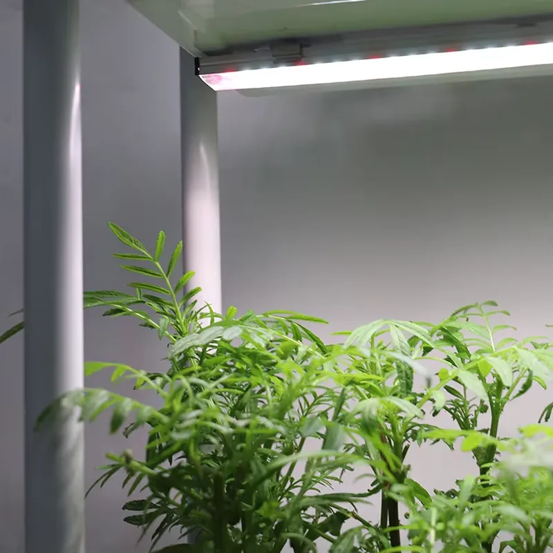 Movable Vertical Grow 3 Level  - Self-Watering Planter 评论和价格