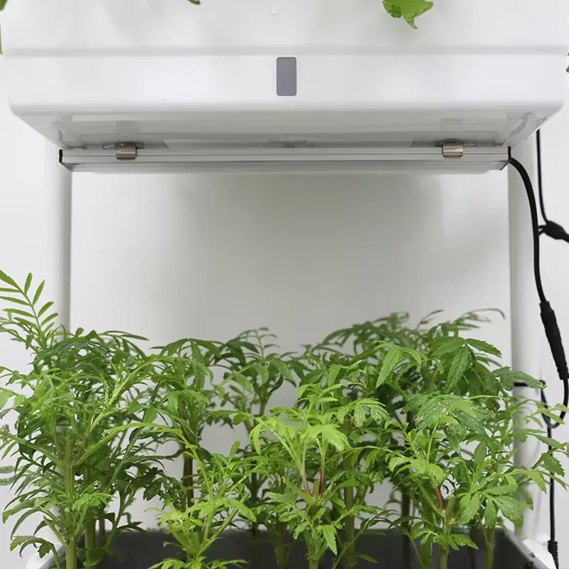 Movable Vertical Grow 3 Level  - Self-Watering Planter 评论和价格