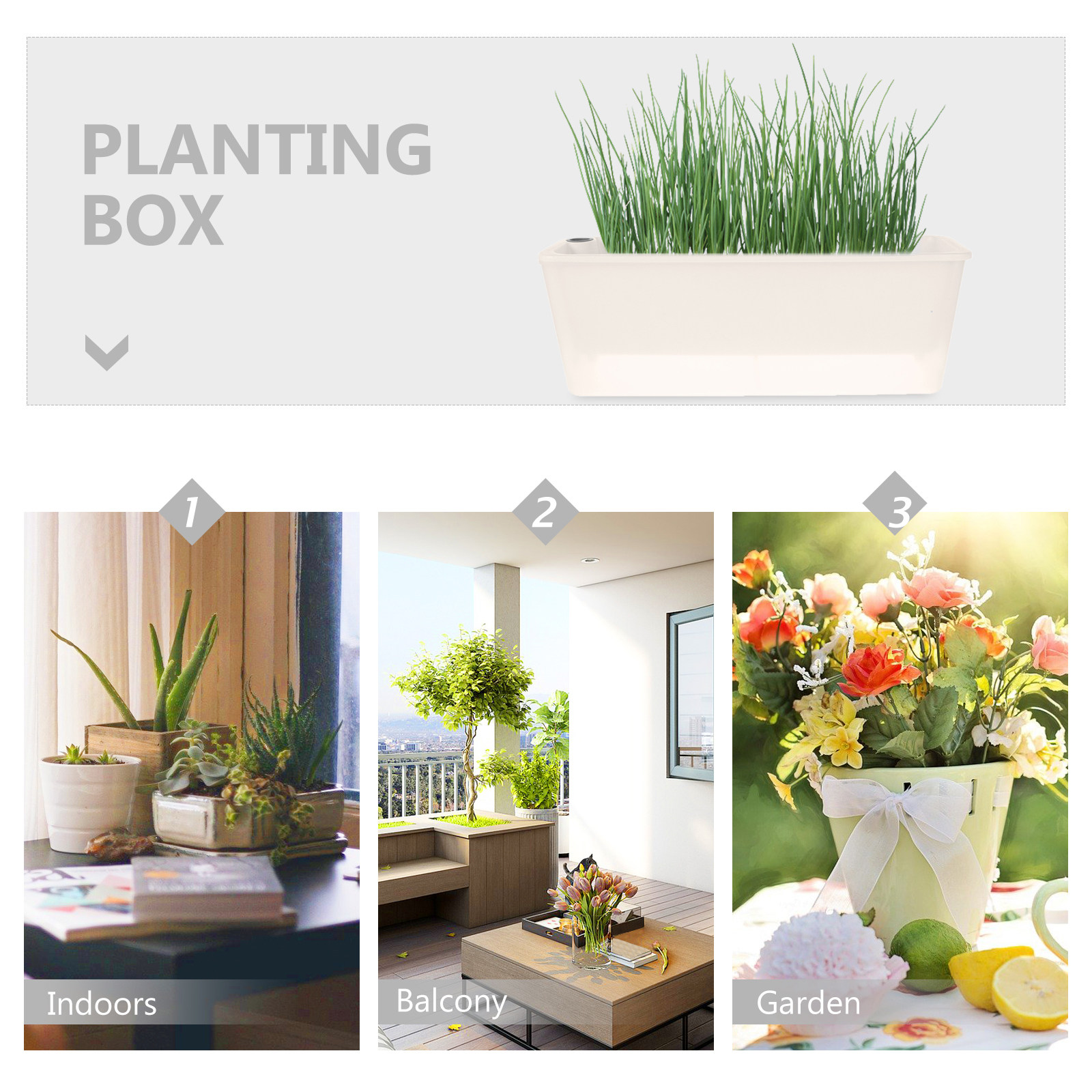 Rectangle Planter Box Long Pla - Self-Watering Planter 评论和价格