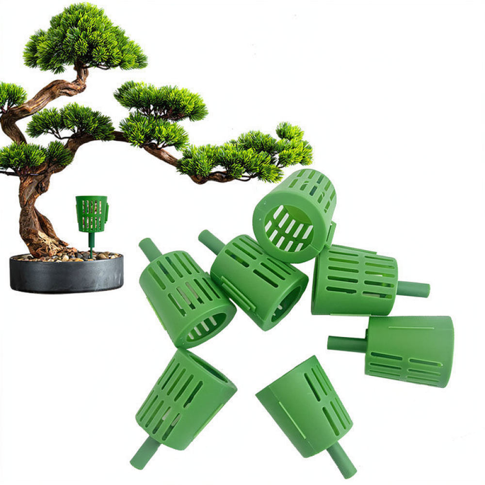 Fertilizer Box For Bonsai Plan - Gardening Tools Essential 评论和价格