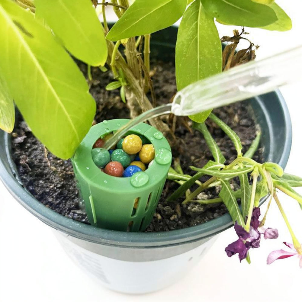Fertilizer Box For Bonsai Plan - Gardening Tools Essential 评论和价格