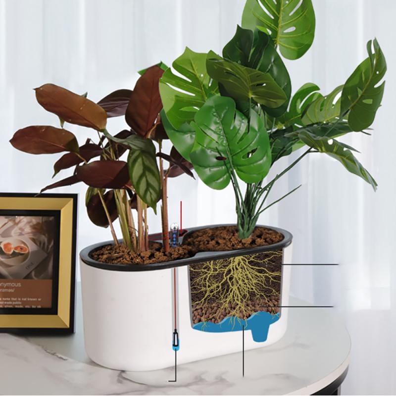 Indoor Plant With Indicator Wo - Automatic Plant Waterer 评论和价格