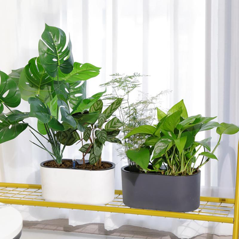 Indoor Plant With Indicator Wo - Automatic Plant Waterer 评论和价格