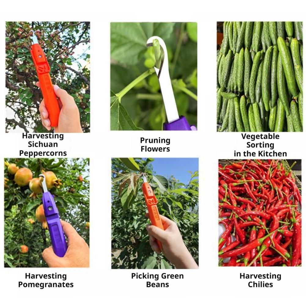 Portable Fruit Vegetable Quick - Gardening Tools Vegetables 评论和价格