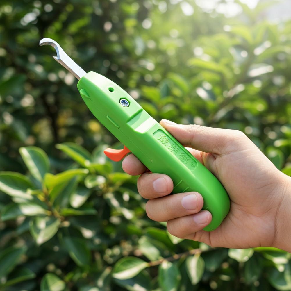 Fruit Vegetable Quick Picking  - Gardening Tools Vegetables 评论和价格