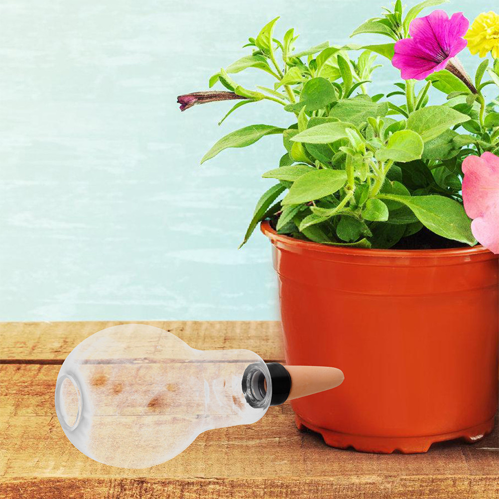 3pcs Automatic Plant Waterer T - Automatic Plant Waterer 评论和价格