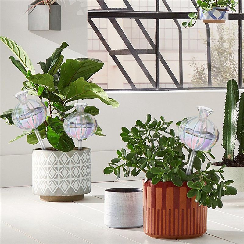 AA94-Plant Watering Bulbs Plan - Self-Watering Planter 评论和价格